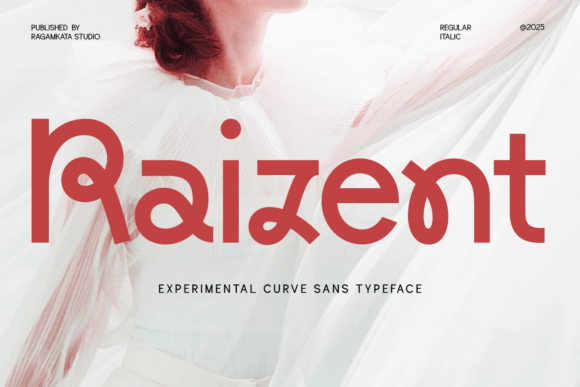 Raizent: Where Bold Geometry Meets Playful Precision
